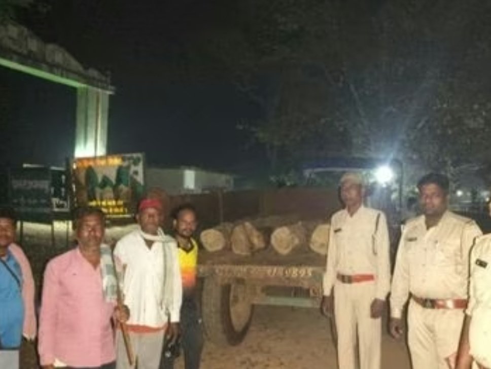 अवैध सागौन लकड़ी परिवहन करते ट्रैक्टर पकड़ाया, दो गिरफ्तार