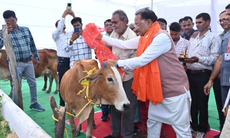 गौमाता की पूजा-अर्चना कर मुख्यमंत्री विष्णु देव साय ने लाखासार में गौधाम का किया शुभारंभ